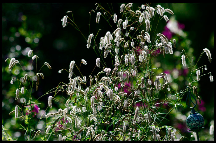 Linnea's Garden 1 - Parks and Gardens