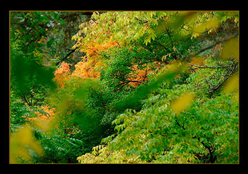 Mustila 15 - Parks and Gardens