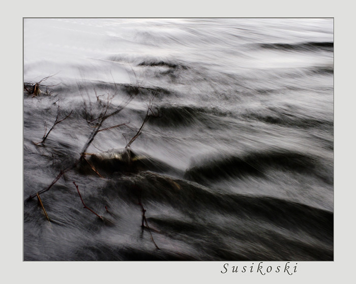 December 2 - Susikoski
