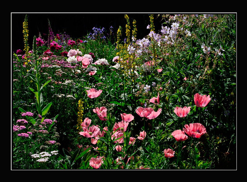 Home 4 - Parks and Gardens