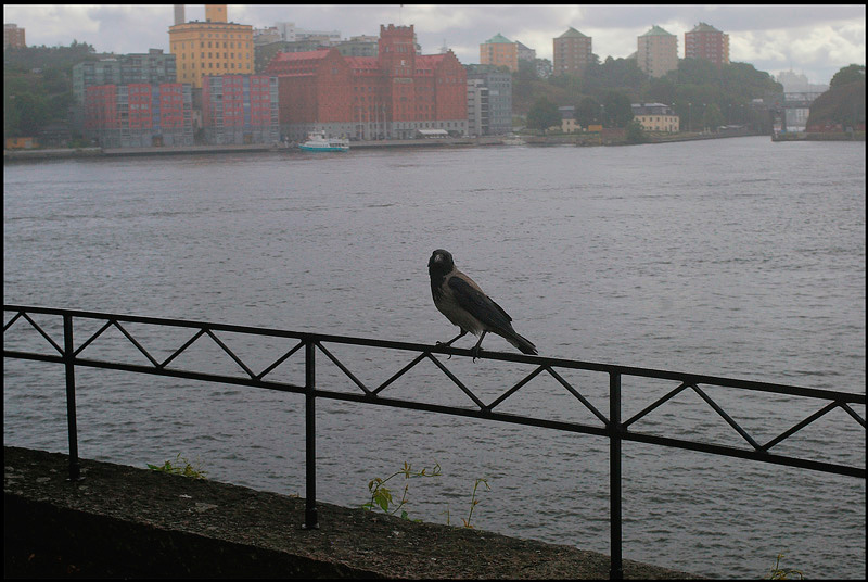 2012 Waldemarsudde 4 - Stockholm 2011-2012