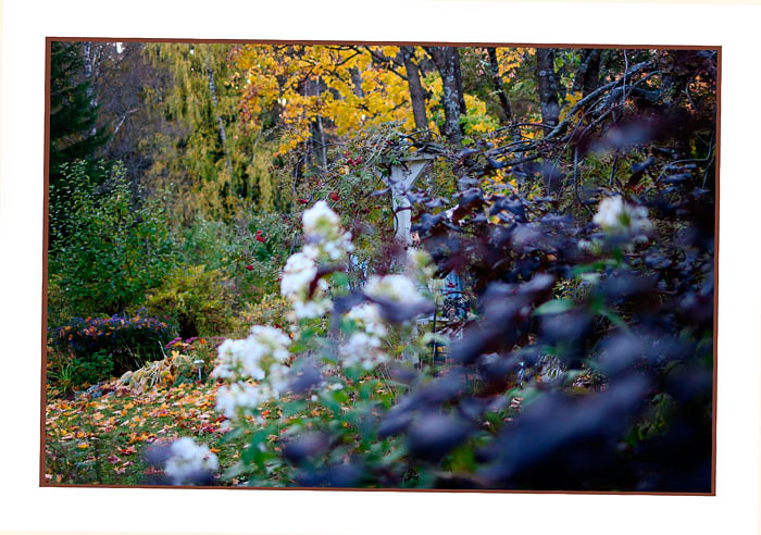 Kibuvitsi's Garden 3 - Parks and Gardens