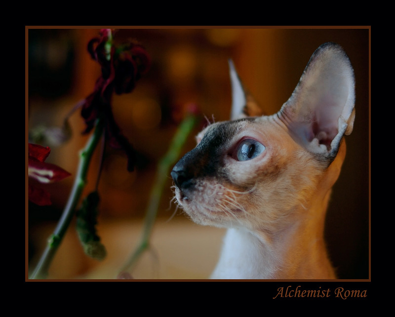Mimmi 2010 / 2 - Mimmi & Fabio