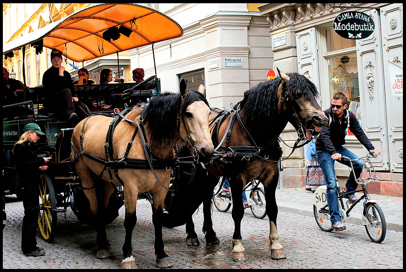 2012 Gamla Stan 1 - Stockholm 2011-2012