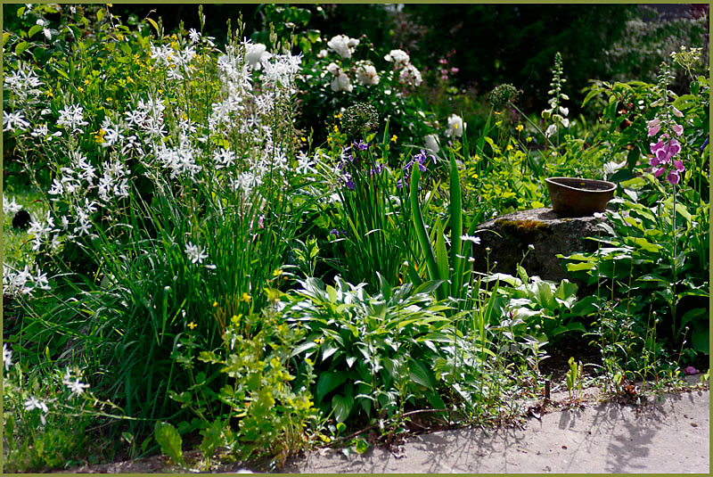 Home 6 - Parks and Gardens