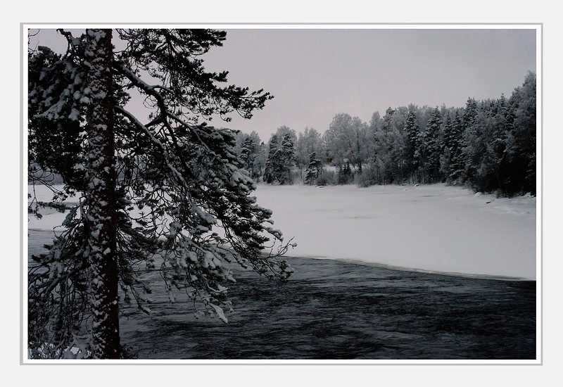 Another December 1 - Susikoski