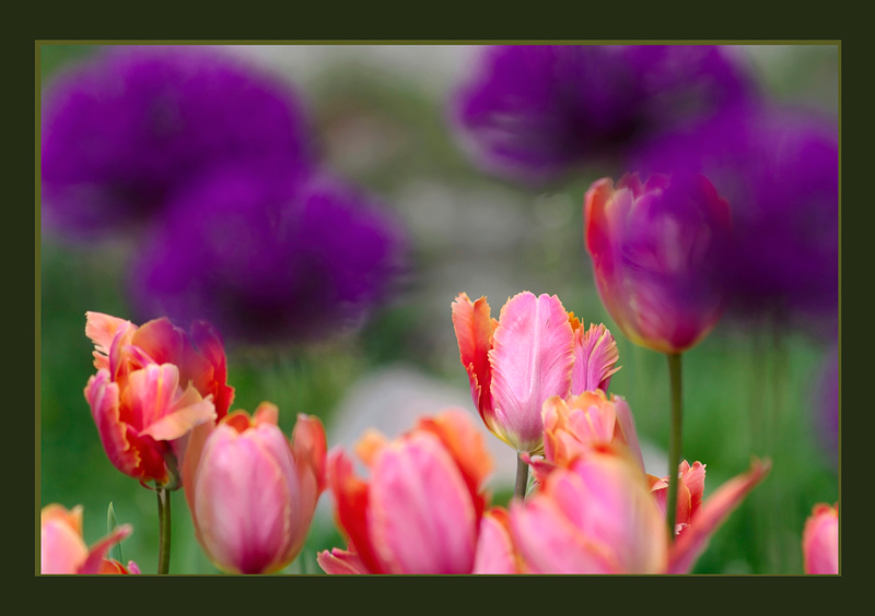 22 - The Secret Garden