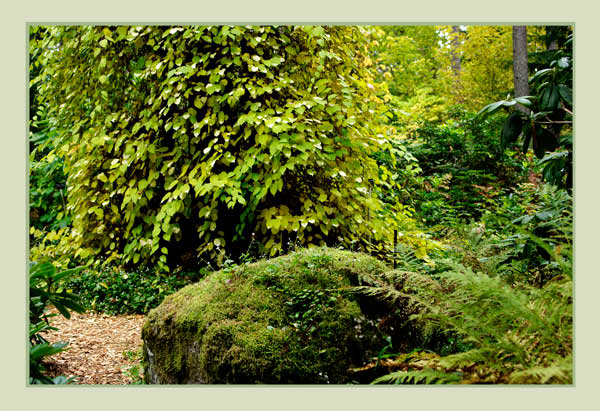 Mustila 10 - Parks and Gardens