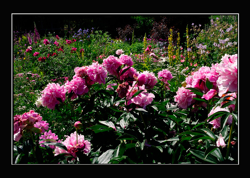 Home 2 - Parks and Gardens