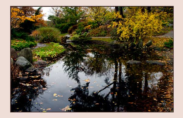 Bergianska II - Parks and Gardens