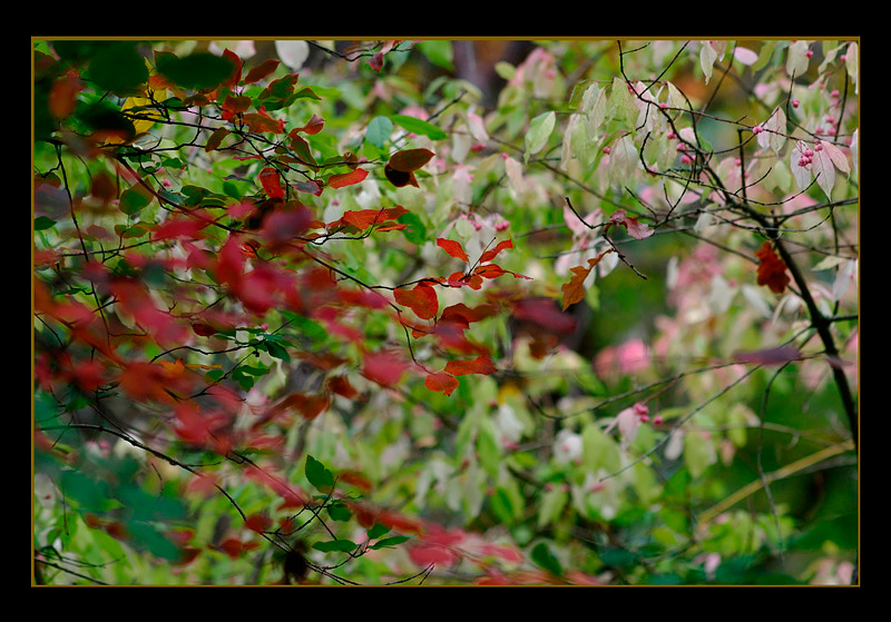 Mustila 14 - Parks and Gardens
