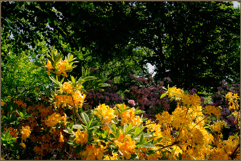 Kotka Fuksinpuisto 5 - Parks and Gardens