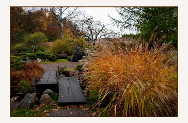 Bergianska III - Parks and Gardens