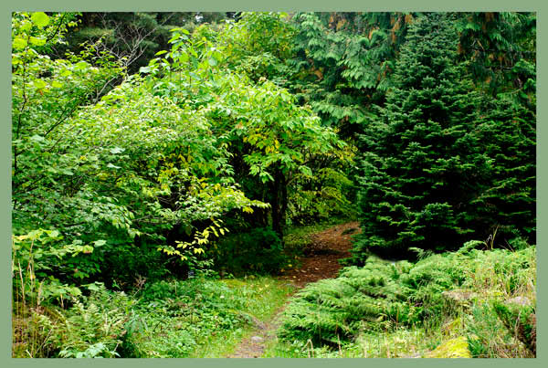 Mustila 9 - Parks and Gardens