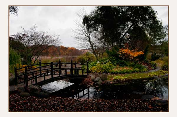 Bergianska  I - Parks and Gardens