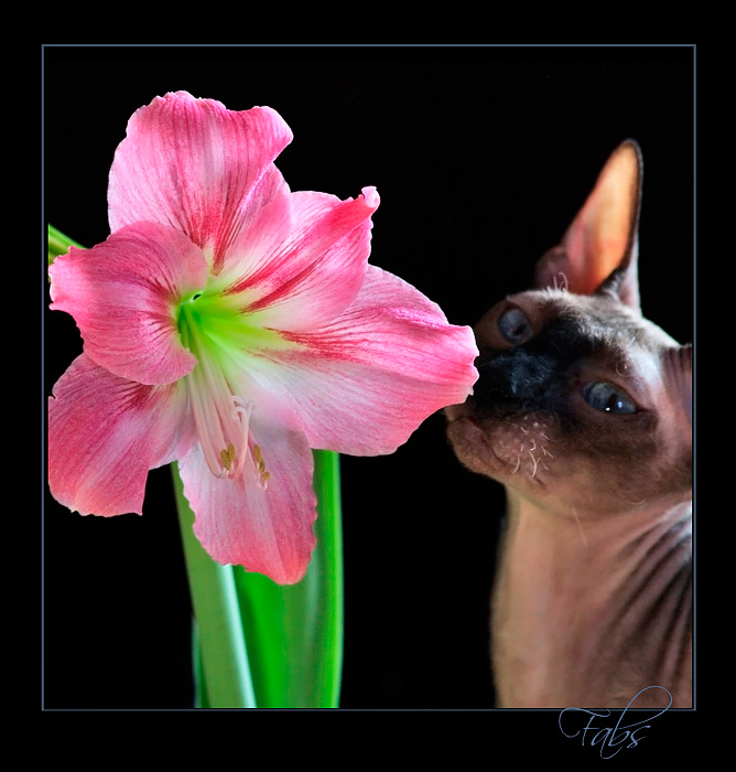 Fabio 2011 - Mimmi & Fabio