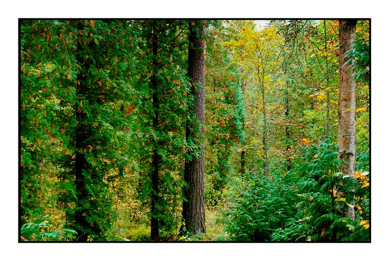 Mustila 11 - Parks and Gardens