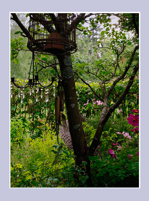 Paula's Garden 3 - Parks and Gardens