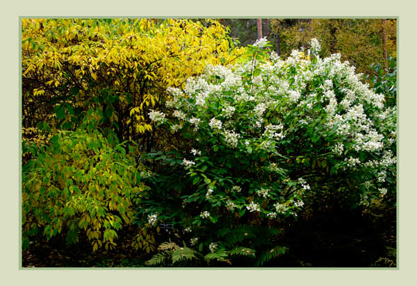 Mustila 8 - Parks and Gardens