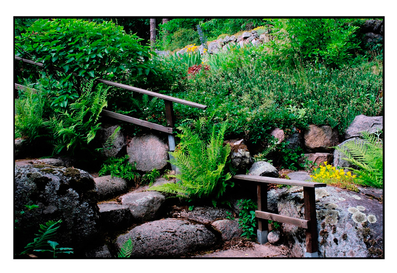 Kyllikki 7 - Parks and Gardens
