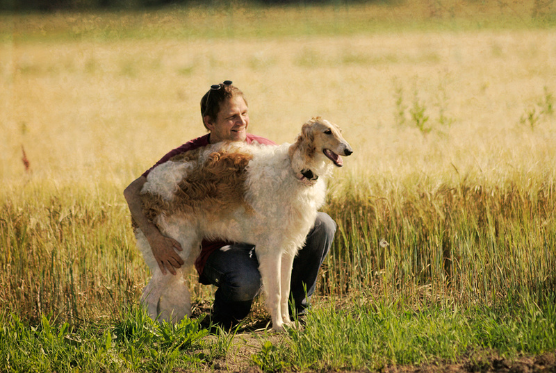  - My Borzois - Mila