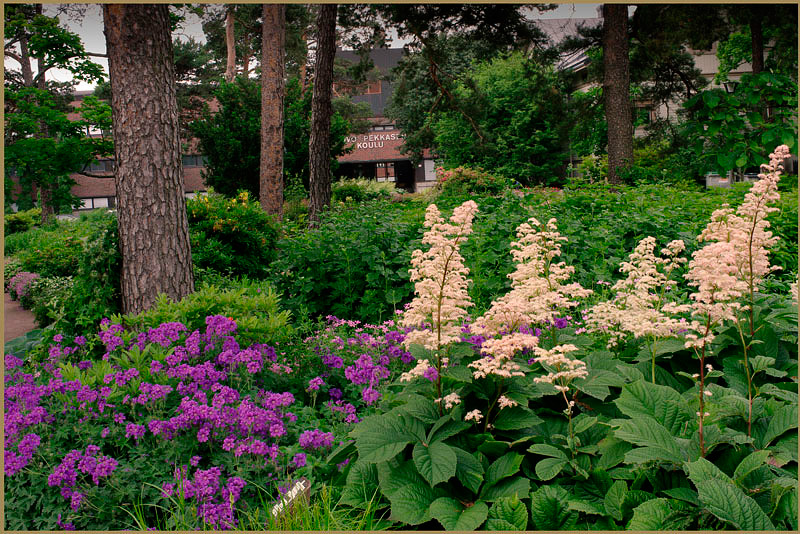 Kotka Isopuisto 3 - Parks and Gardens