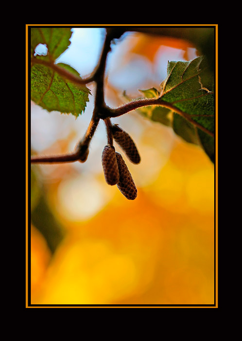 21 - The Secret Garden