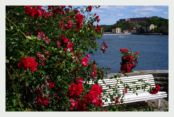 Waldemarsudde 2 - Parks and Gardens