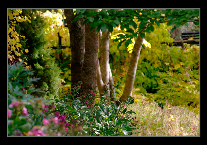 Mustila Manor 3 - Parks and Gardens