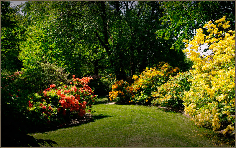 Kotka Fuksinpuisto 2 - Parks and Gardens