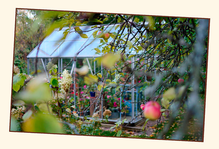 Kibuvitsi's Garden 1 - Parks and Gardens