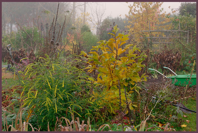 Home 9 - Parks and Gardens