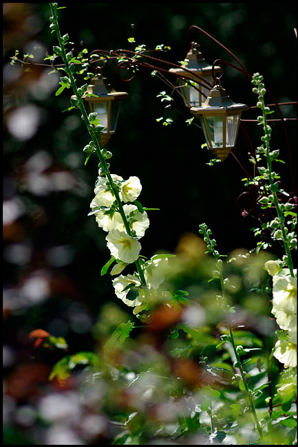 Linnea's Garden 5 - Parks and Gardens