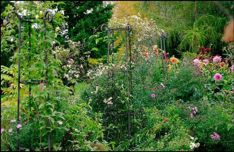 Home 8 - Parks and Gardens