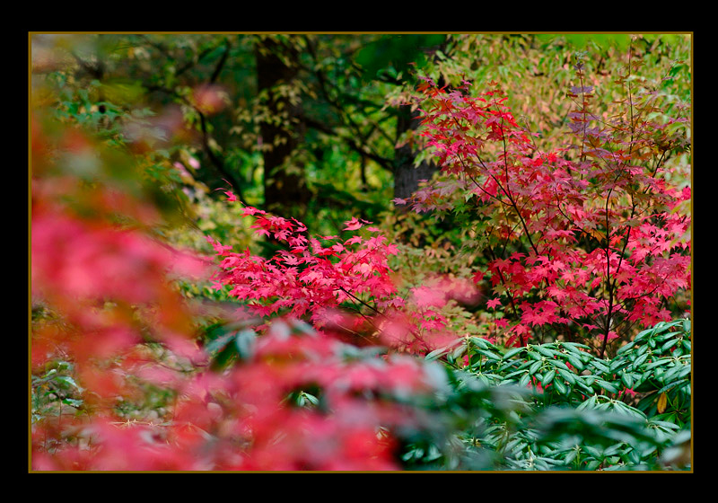 Mustila 16 - Parks and Gardens