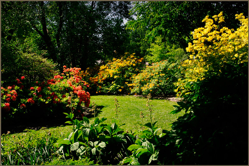 Kotka Fuksinpuisto 1 - Parks and Gardens