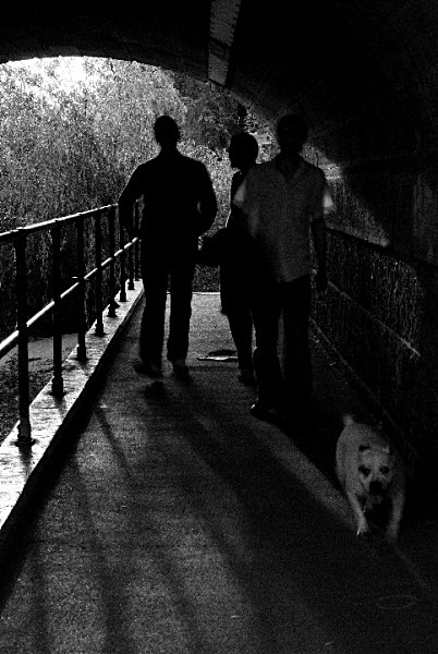 - River Thames - Isleworth to Chiswick
