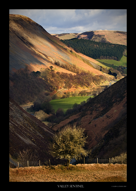 Dylife - Eryri / Snowdonia