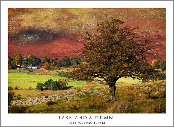  - Ardal Y Llynnoedd / The Lake District