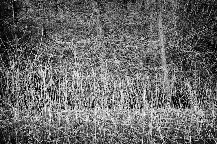 Twisted - Simplicity
