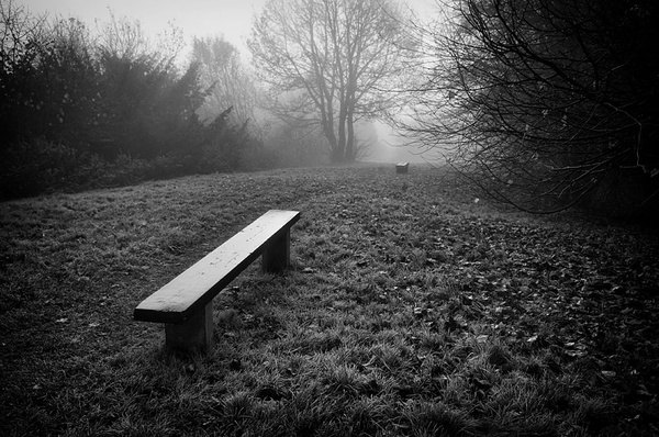 Park benches - Simplicity