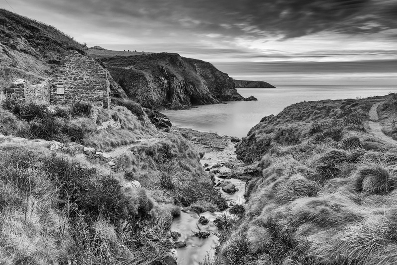 Aber Felin - Black and White