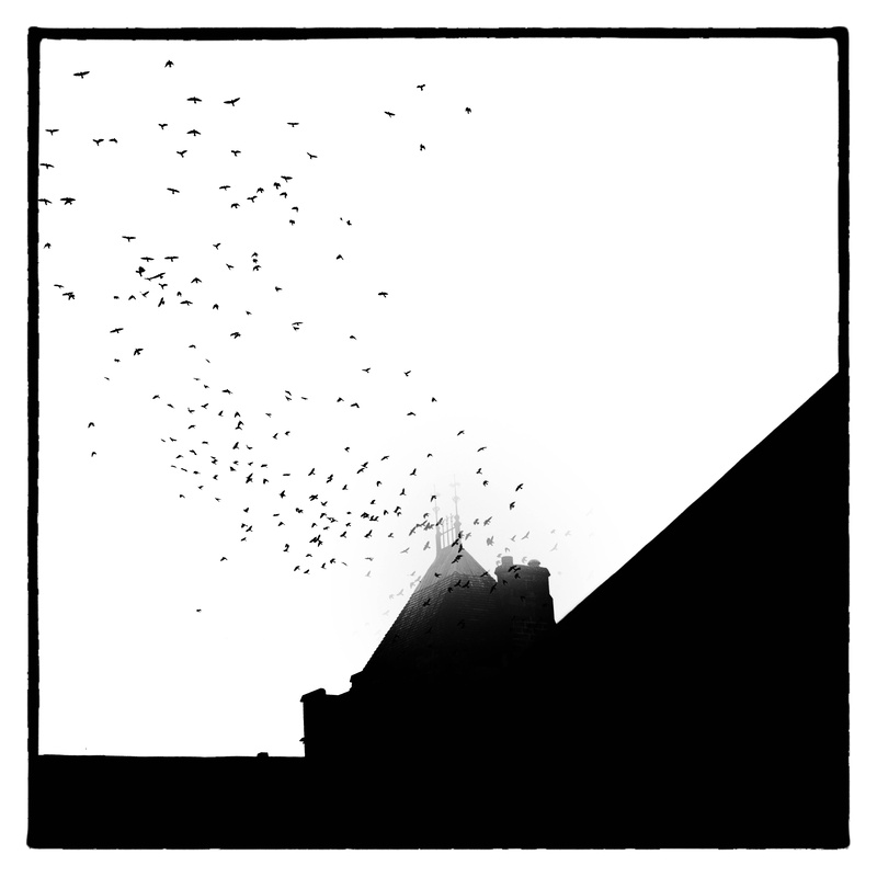 Birds 1 - Square in Black and White