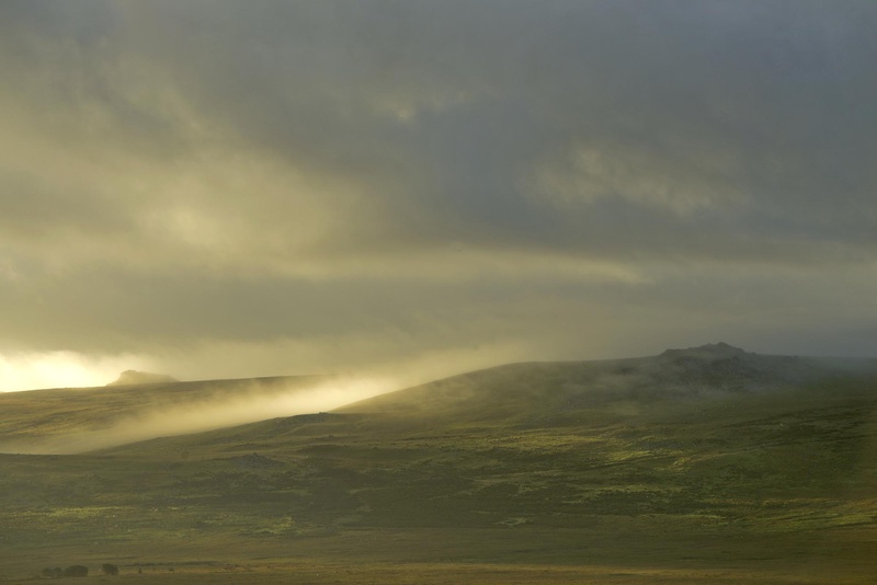 Preseli Hills 1 Pembrokeshire - West Wales