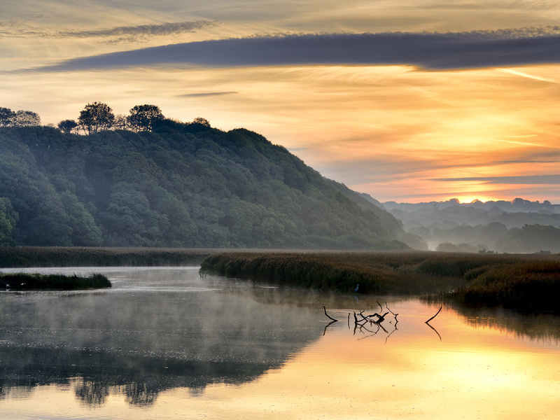 Newport Estuary Sunrise and Heron Pembrokeshire - West Wales