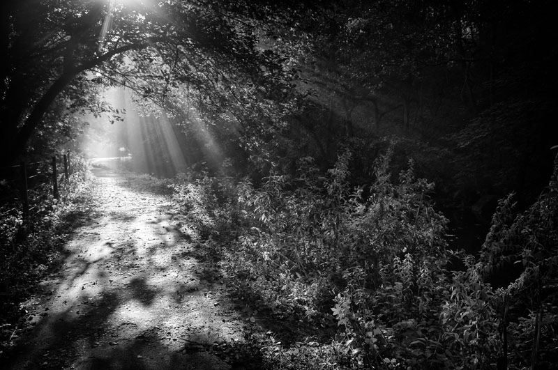 Cromford Canal Pathway Light - Black and White