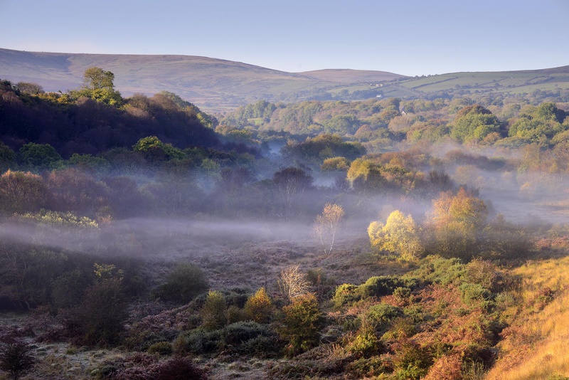 Preseli Hills Autumn Colour - Valley Project