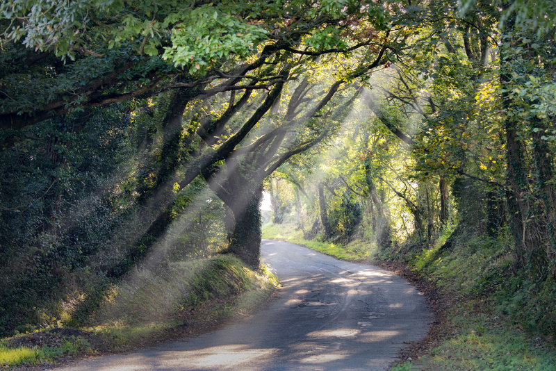 Morning Sunrays Brynberian - Greeting cards
