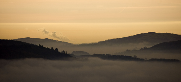Misty Landscape - Landscapes