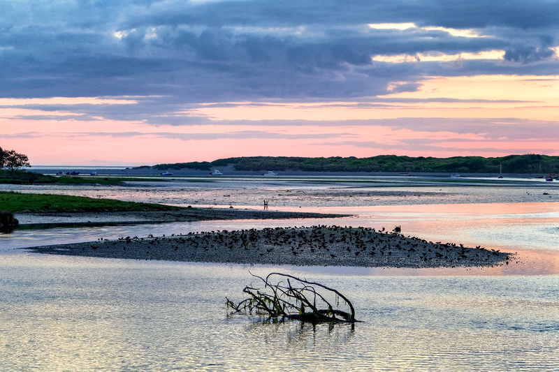 Newport Estuary Island Sanctuary - Newport Pembrokeshire